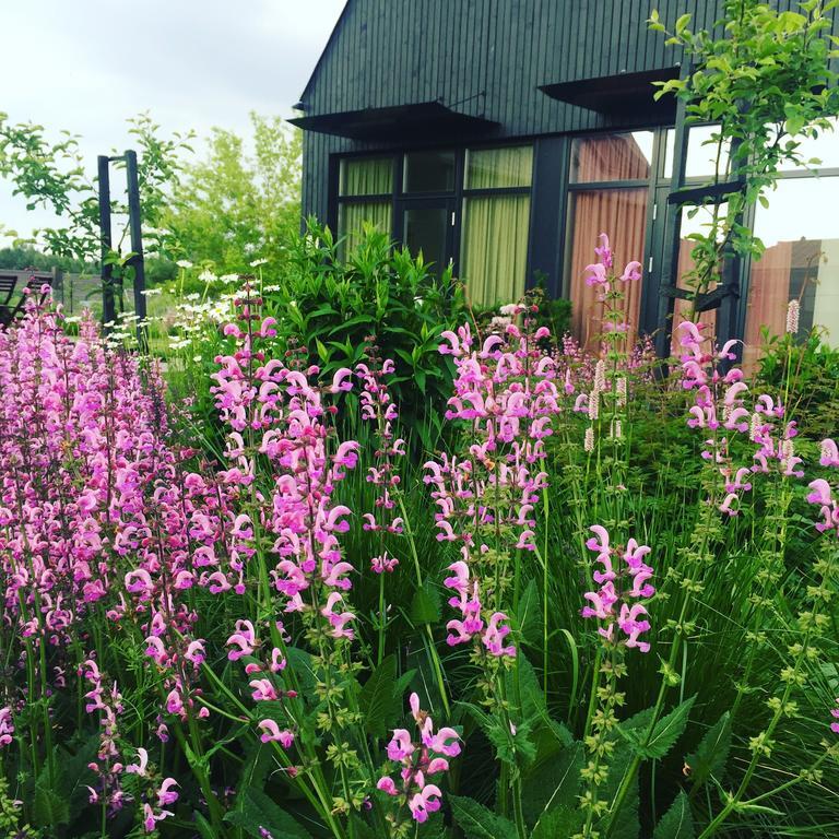 Domi Lini Apartment Druskininkai Bagian luar foto